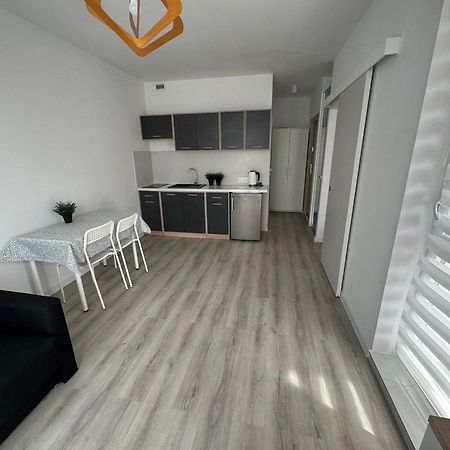 ポズナンApartament Katowickaアパートメント エクステリア 写真